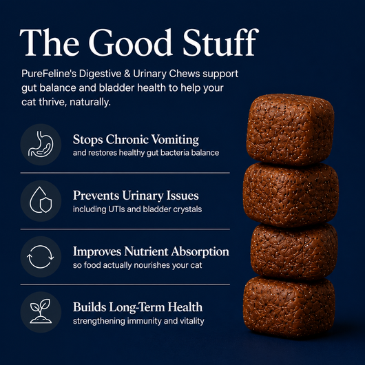 PureFeline Digestive & Urinary Health Chews